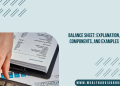 Balance Sheet Explanation, Components, and Examples
